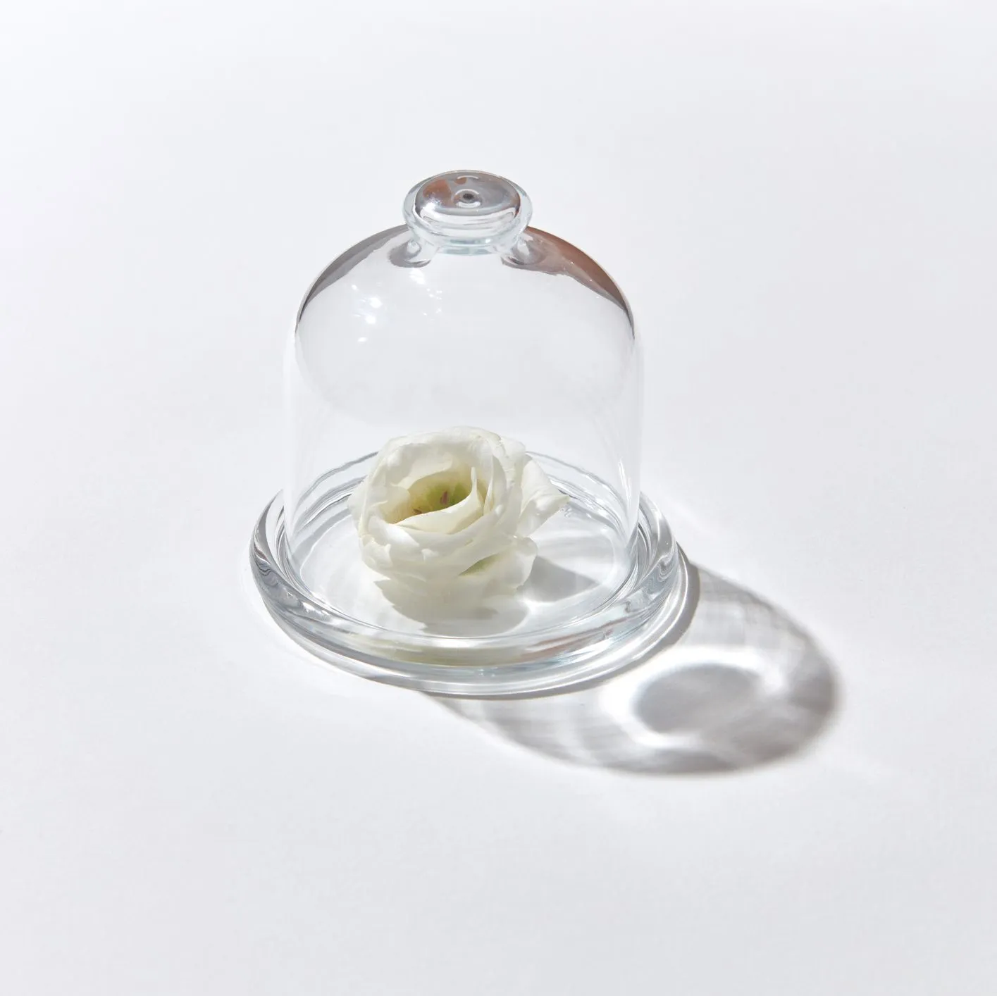 Fertility Preservation – Options for Women and Men